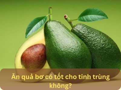 Giải đáp thắc mắc: Ăn quả bơ có tốt cho tinh trùng không?