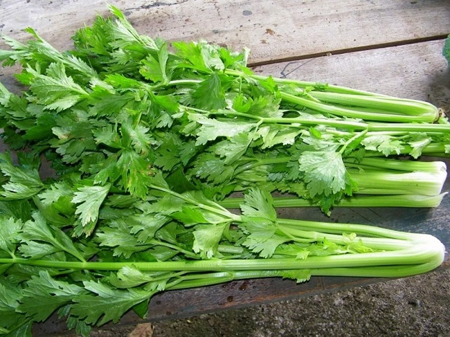 Cần tây