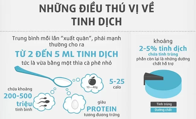 Tinh trùng là một phần của tinh dịch