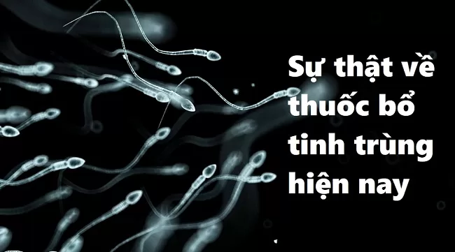 Hiện nay nhiều anh em khá quan tâm tới các loại thuốc bổ tinh trùng