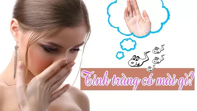 Mùi vị của tinh trùng có thể phản ánh sức khoẻ sinh sản nam giới