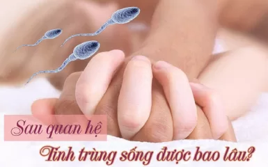 Tinh trùng sống được bao lâu trong các môi trường khác nhau?