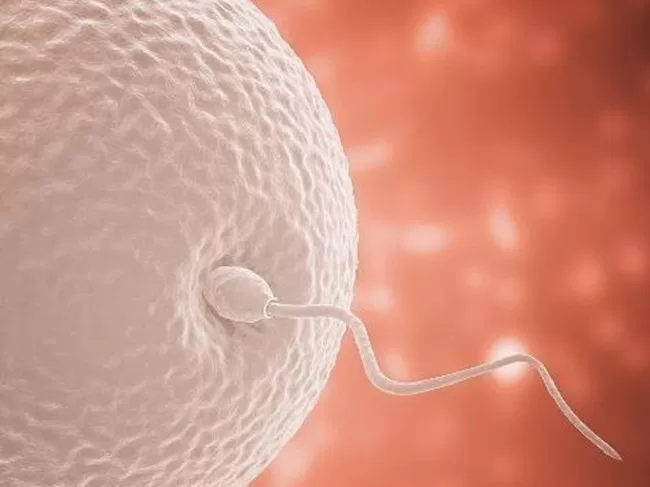 Tinh dịch khỏe mạnh có khả năng hóa lỏng và có tính lưu động cao