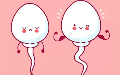 Một trong những nguyên nhân gây vô sinh ở nam giới đó chính là tinh trùng yếu