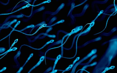 N- acetylcystein tăng khả năng di động của tinh trùng như thế nào?