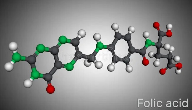 Acid folic và folate là 2 dạng của vitamin B9