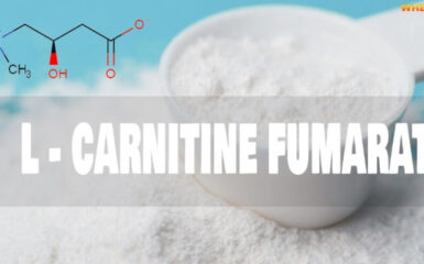 Tại sao L-arginine và L-carnitine tốt cho tinh trùng? Cách bổ sung?