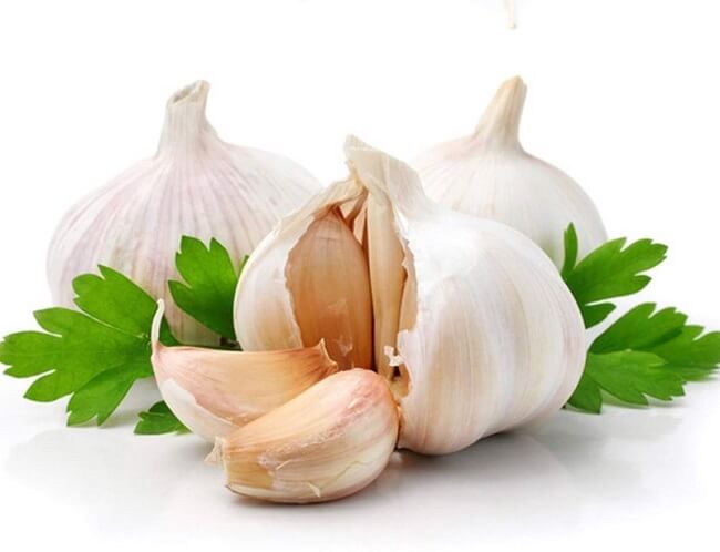 Tỏi chứa hoạt chất allicin có khả năng tiêu diệt tinh trùng