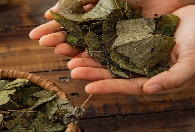 Vị thuốc Dâm dương hoắc