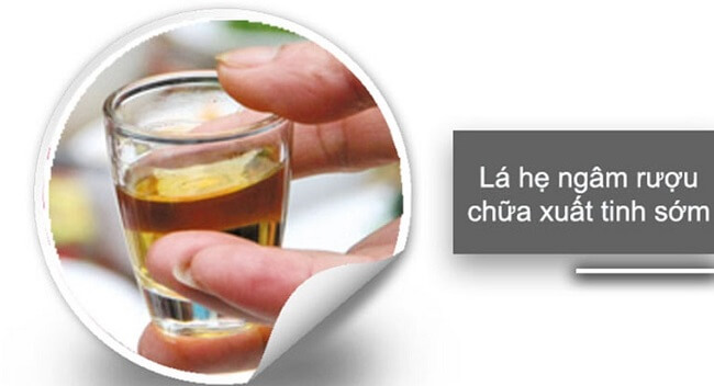 Kiên trì uống rượu ngâm lá hẹ với liều lượng vừa đủ giúp nam giới cải thiện hiệu quả tình trạng xuất tinh sớm