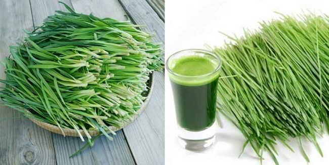 Nước ép lá hẹ chữa xuất tinh sớm