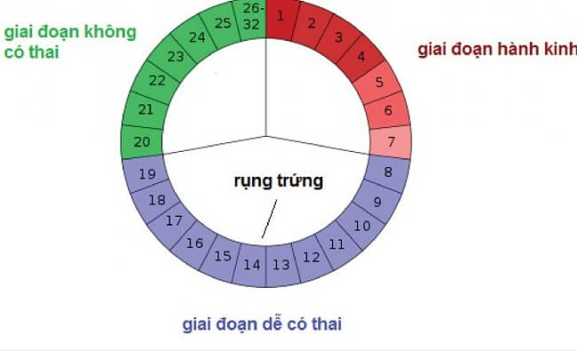 Quan hệ trước ngày rụng trứng từ 1-2 ngày là thời điểm tốt nhất để quá trình thụ tinh diễn ra thành công