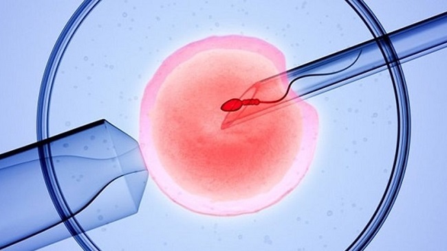 Nuôi cấy phôi