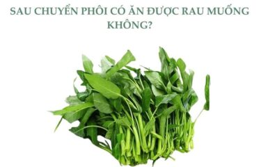 Lợi ích của rau muống đối với phụ nữ sau khi chuyển phôi