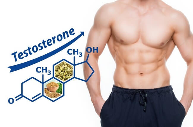 Hormone testosterone đóng vai trò quy định các đặc tính nam giới