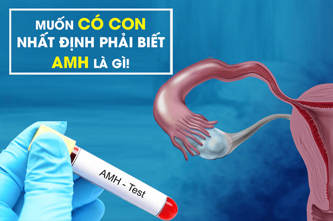 Dự trữ buồng trứng AMH thấp là một trong những nguyên nhân gây khó có con ở nhiều cặp đôi