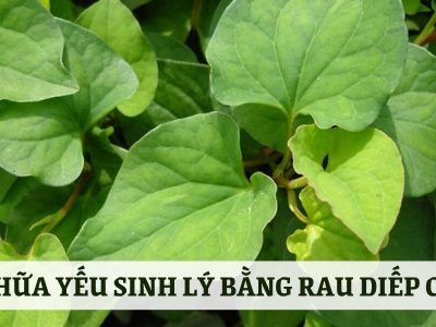 Bật mí 6 cách chữa yếu sinh lý bằng rau diếp cá