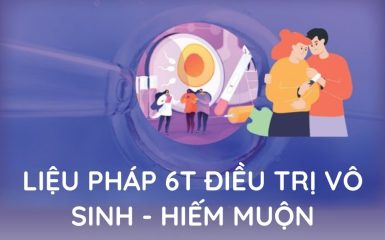 Liệu pháp 6T