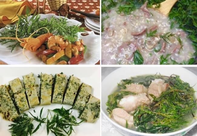 Các món ăn từ lá đinh lăng