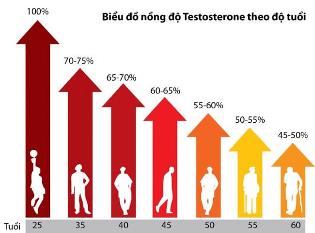 Nồng độ hormone testosterone giảm theo độ tuổi của nam giới