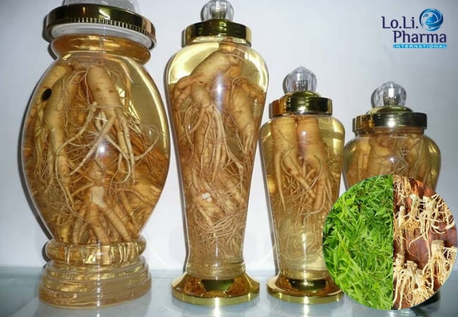 Rượu ngâm đinh lăng