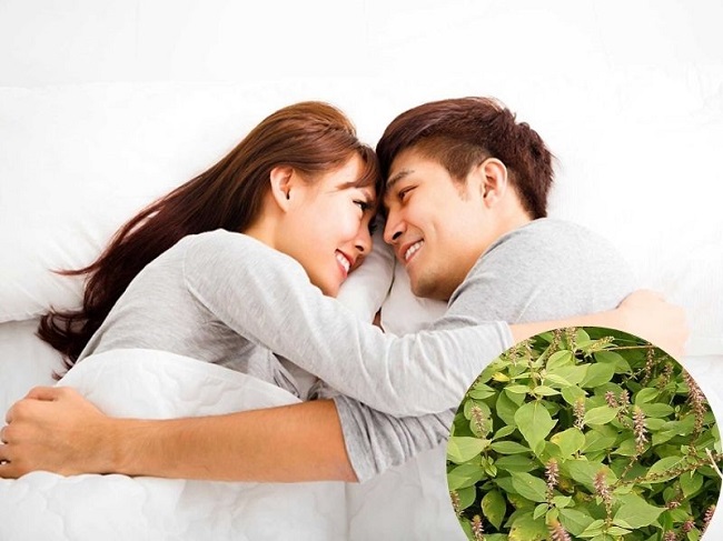 Cây cỏ xước có tác dụng cải thiện "bản lĩnh phái mạnh"