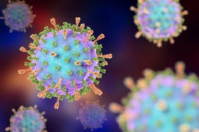 Virus quai bị