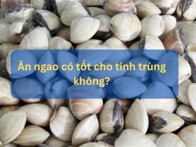 Chuyên gia giải đáp: Ăn ngao có tốt cho tinh trùng không?