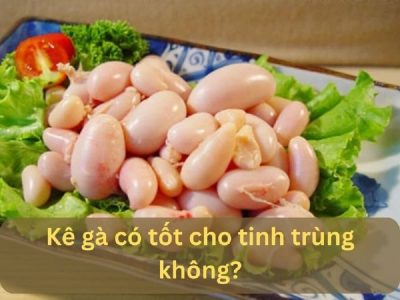 Kê gà có tốt cho tinh trùng không? Lưu ý gì khi sử dụng?