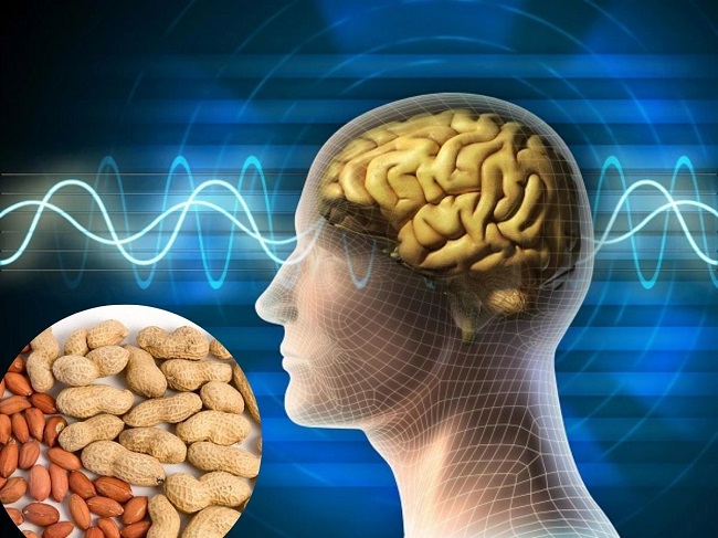 Những người thường xuyên ăn lạc giảm nguy cơ mắc bệnh mất trí nhớ như Alzheimer đến khoảng 70%
