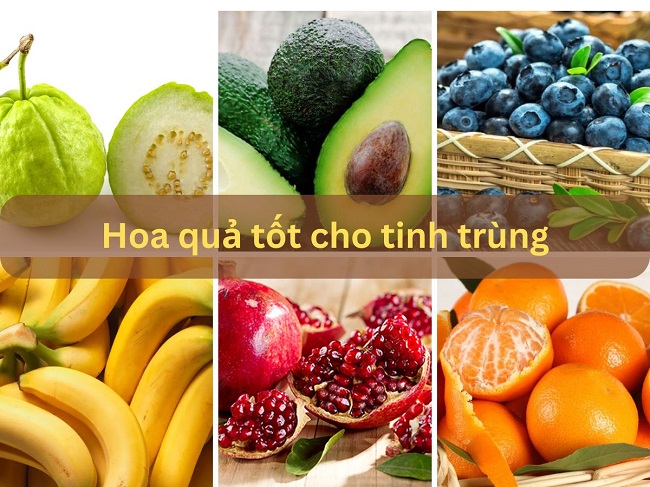 Các loại hoa quả tốt cho tinh trùng
