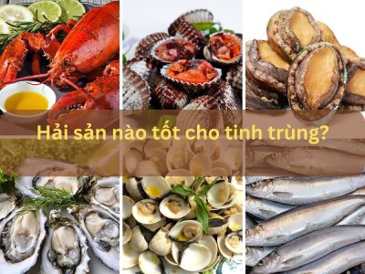Hải sản nào tốt cho tinh trùng, bạn đã biết?