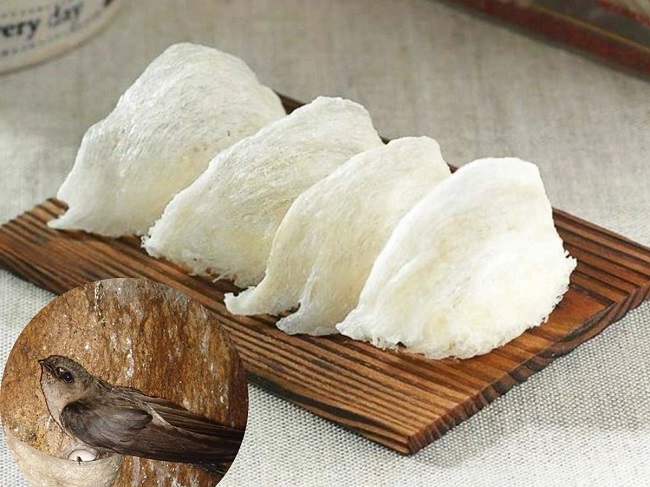 Yến sào là tổ của chim yến, được tạo ra bằng nước bọt của chúng