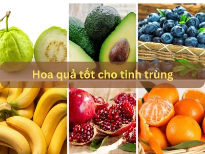 Bật mí: TOP 8 loại hoa quả tốt cho tinh trùng