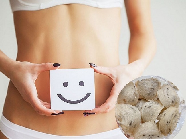 Yến sào giúp hỗ trợ tiêu hoá