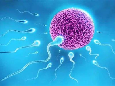 Tinh trùng yếu có thể thụ thai tuy nhiên xác suất thấp