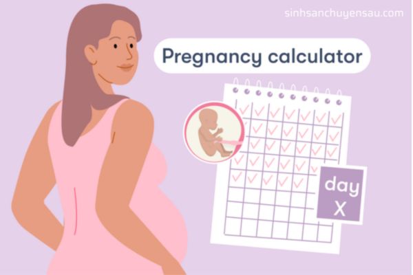 Tính tuổi thai theo ngày rụng trứng